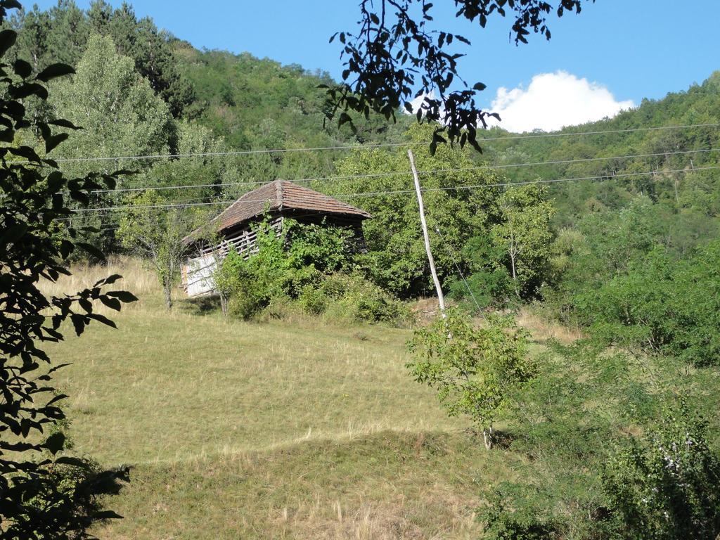 StaroplaninSki Apartments Crni Vrh Bagian luar foto